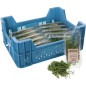 THYM CITRON GROSBUSCH 12X20G